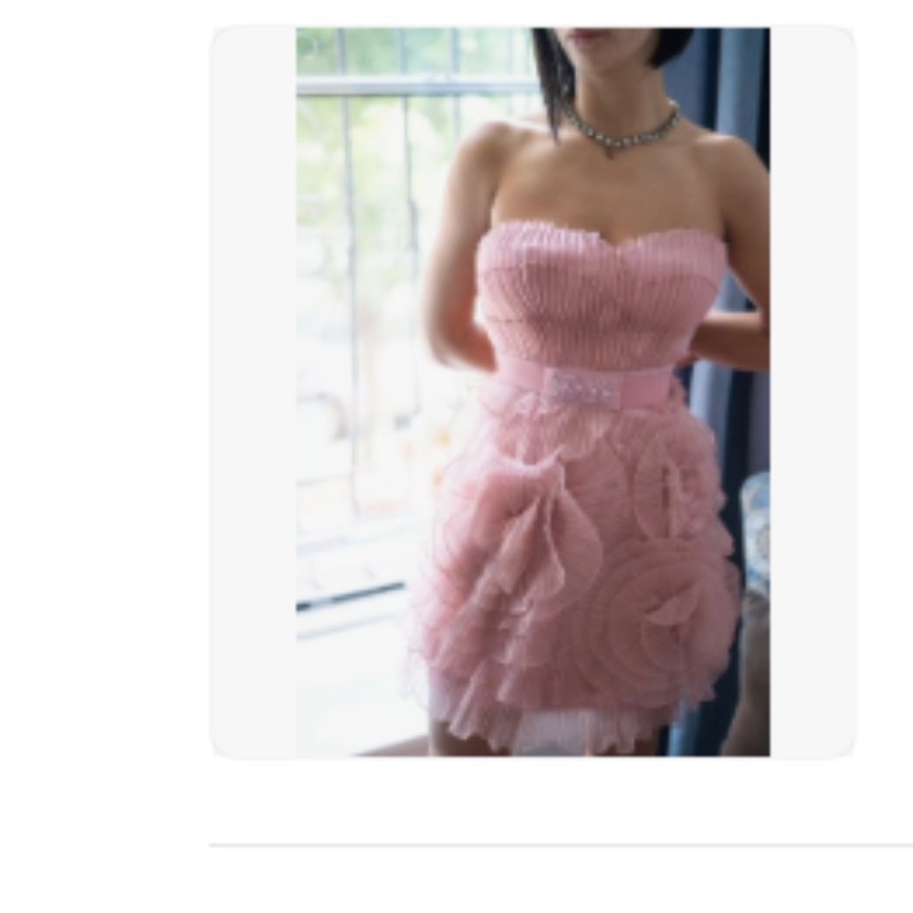 BCBG Floral Organza Bustier Party Mini Dress in Nude Pink